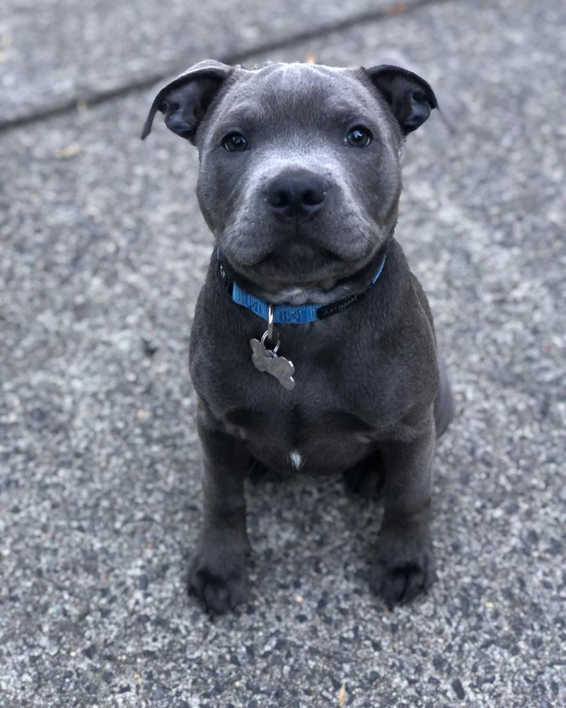 0e85016a-7694-462d-b83b-19decca7ede8