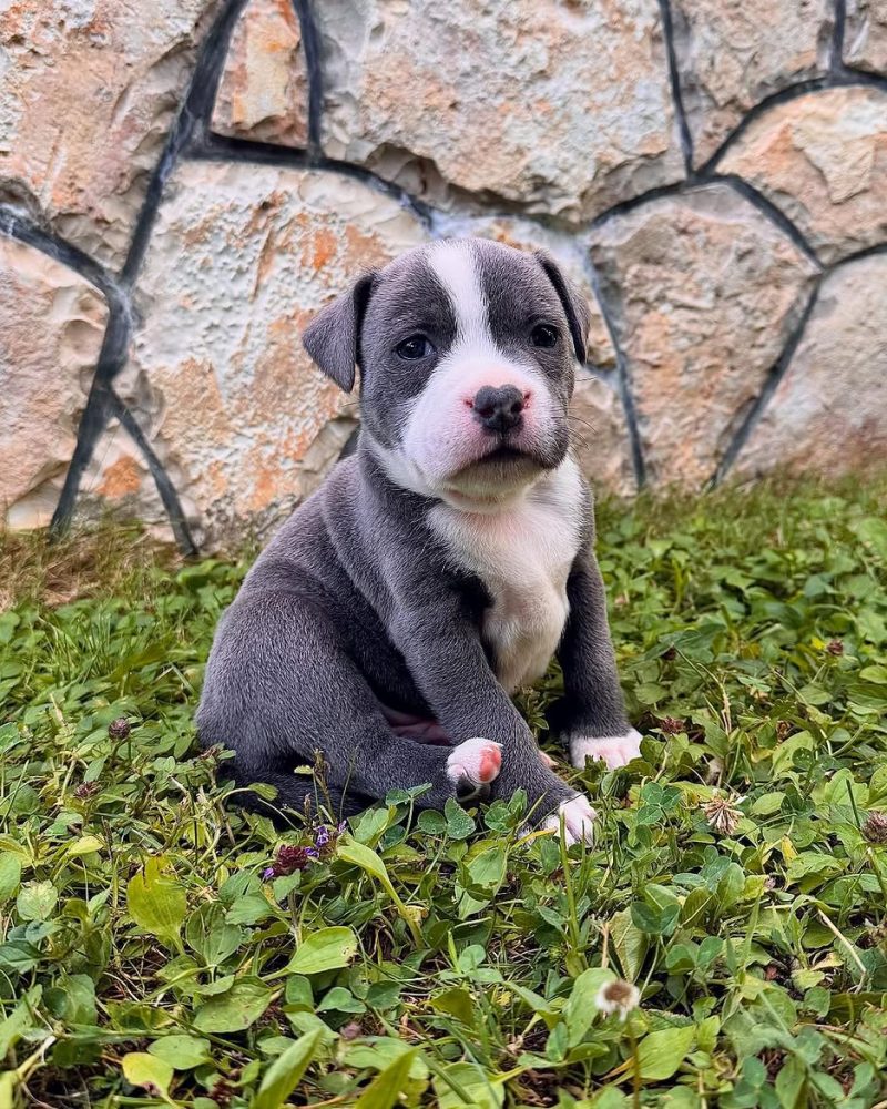 2041d526-8b37-478d-83e4-059ed0a70f0c