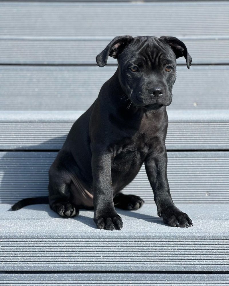 21d36d6c-0a95-411f-b136-3ff48d3f2516