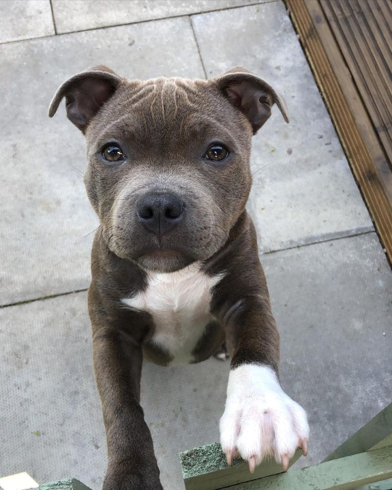 3e4dadaf-7007-4d21-9a63-14528f64feae (1)