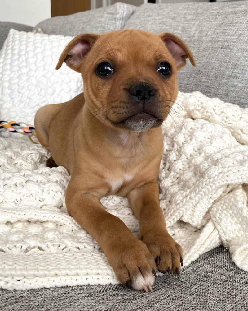 5e97fecf-314e-4754-9b7d-97e551821282