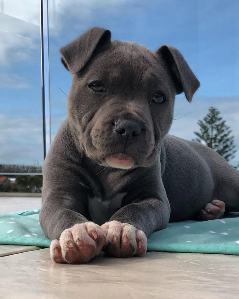 64b2ae4c-5570-495c-8f08-5e59221fb02c