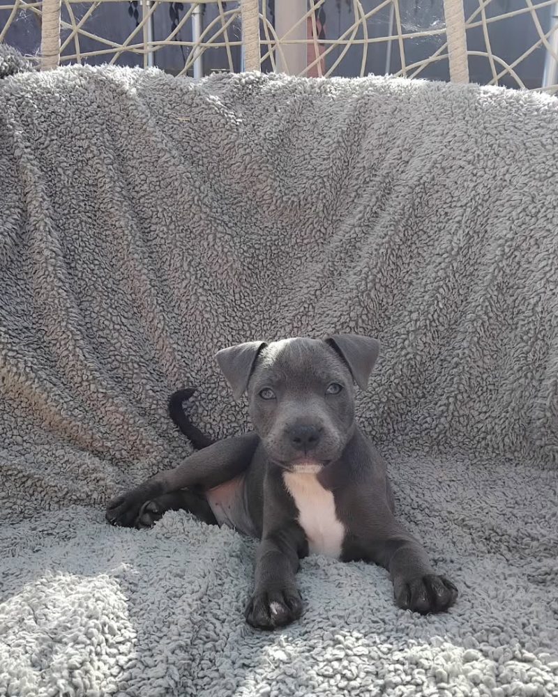 7f839788-c693-4c8e-9770-dc7c475b1649