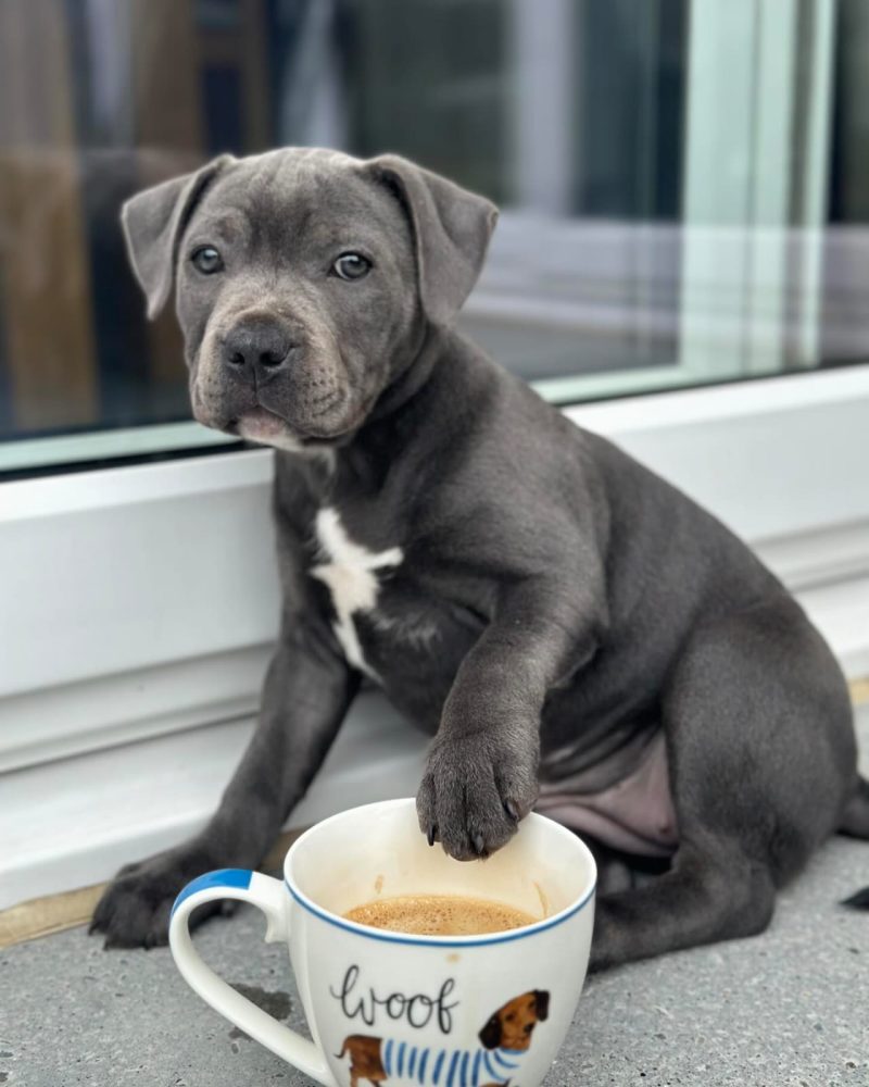 80a661cd-e6c3-4084-b4e3-3fbed1de310d