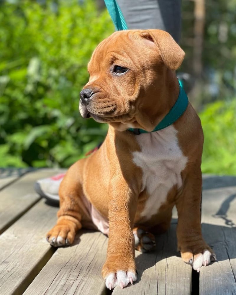 83966b50-bf45-4353-8b8c-59b4ec1a8082