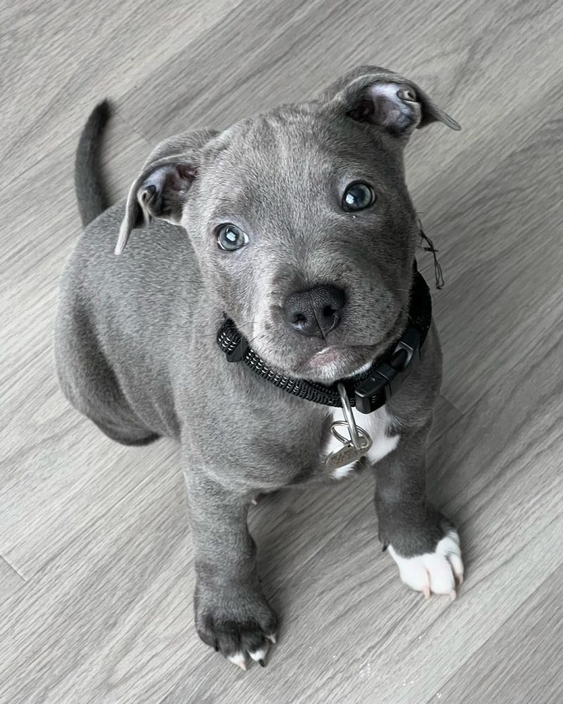 8c342bed-b0b3-44bb-83df-9d4598883ed6