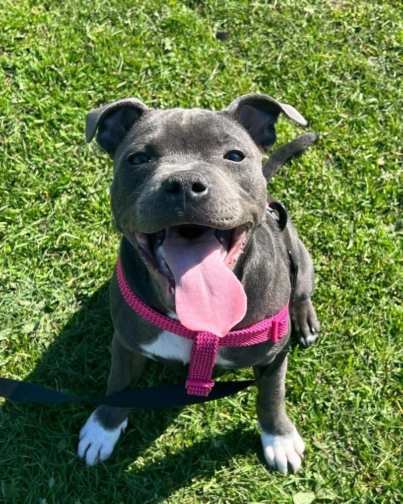 a9dc3f92-1f2c-4352-b2e1-db8a4b8ab779