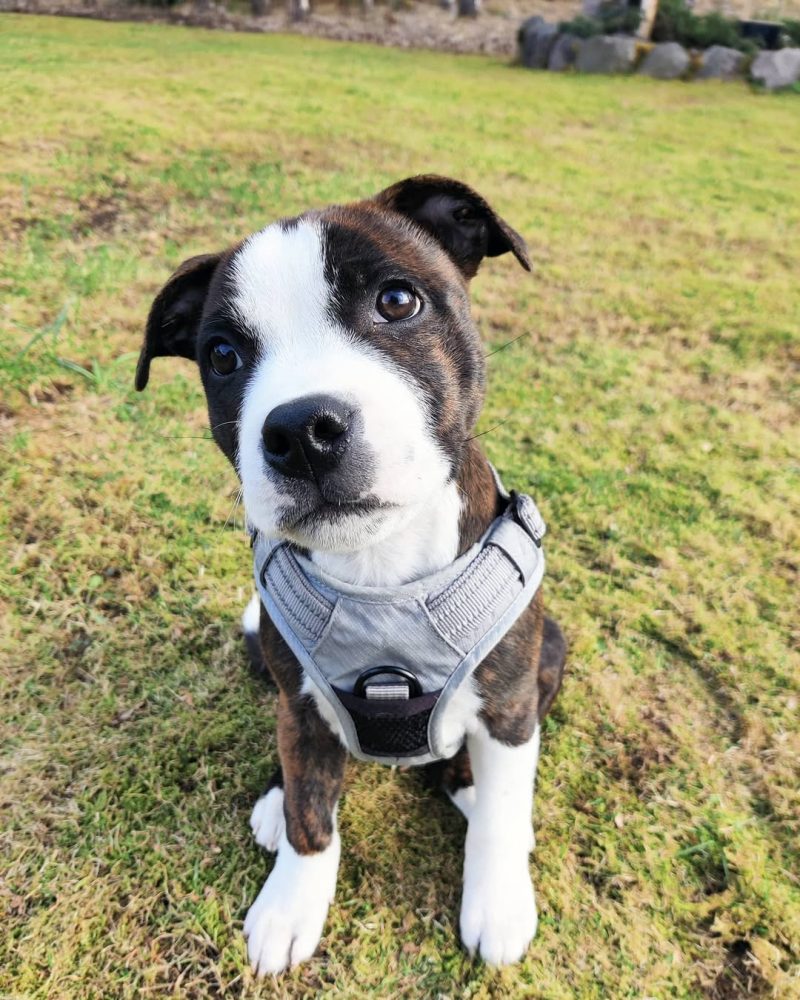 b091b0a4-d53e-449e-b1b1-e61f18d1dd42