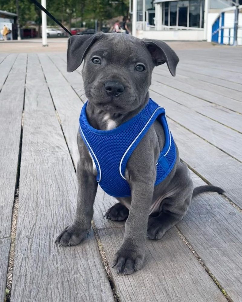 ba13ba83-29e0-4204-a8ba-17ffa3b04a86