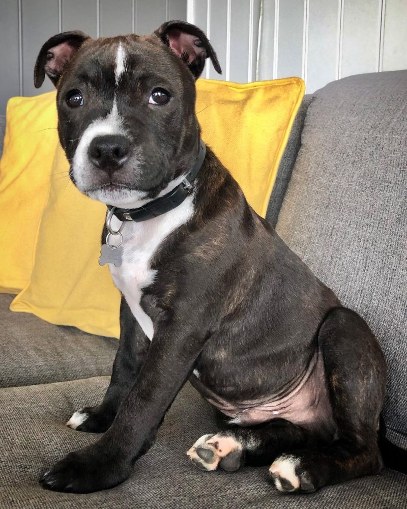 c15c0b3e-84e0-4d64-aad2-6fb69fe9a038