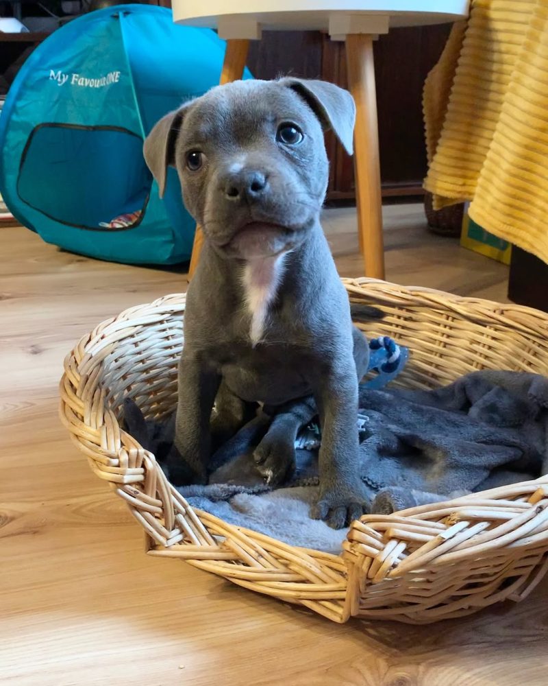 c246ac80-bcb8-4ffb-ab4f-8cb1be88527d