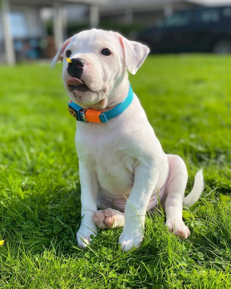 ce976066-7796-41c0-8370-0b30e63ecfd1