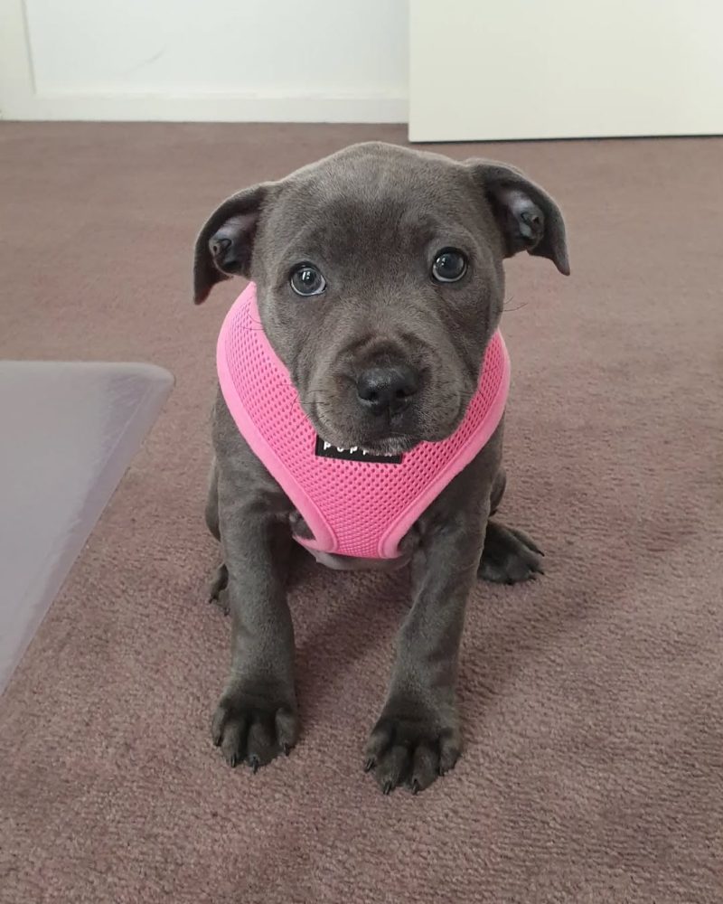 daea3973-3fbe-4d13-9a8b-48fbb71a677f