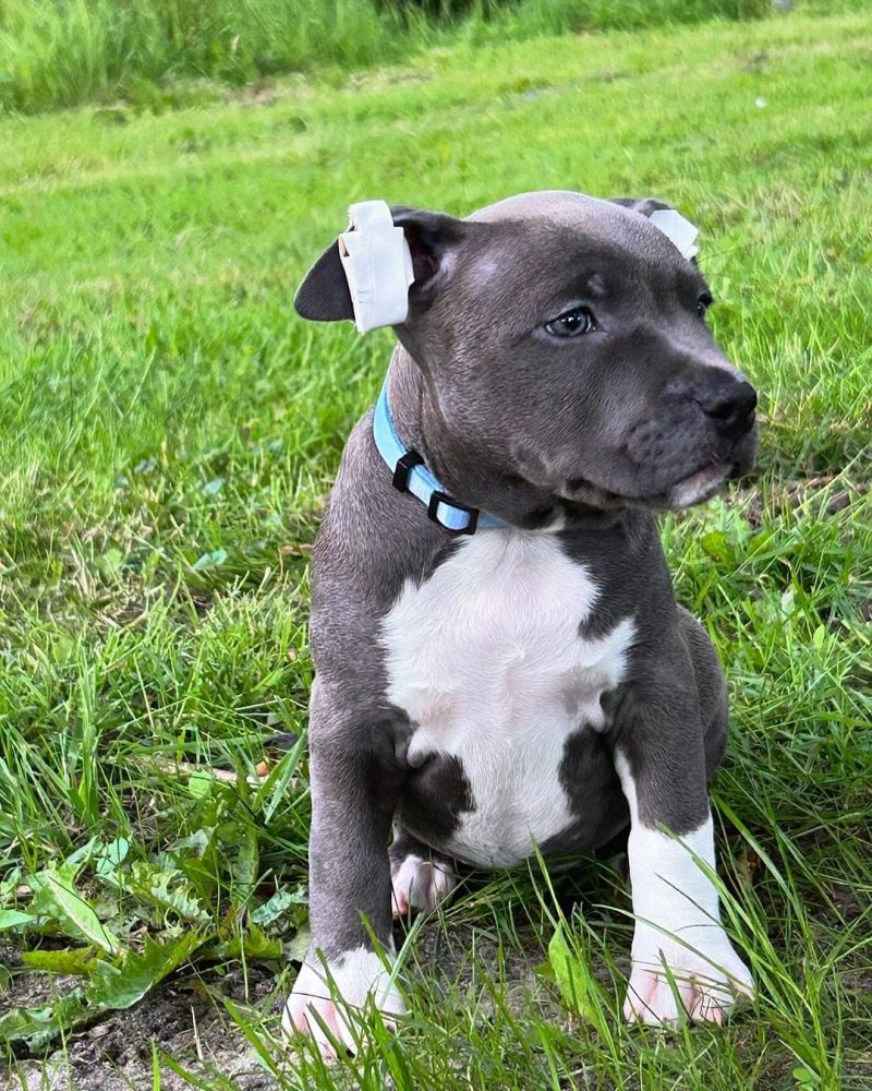 f56bcc57-daeb-4f97-af50-9e8c2100e82d (1)