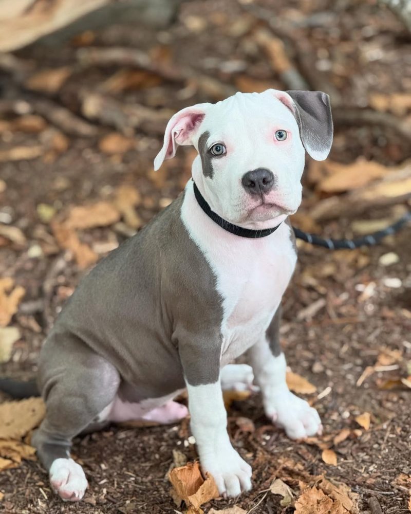 f9197a56-060a-466b-897b-1e9f7a257603